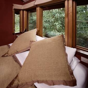 Lodge Woodlands Rainforest Retreat