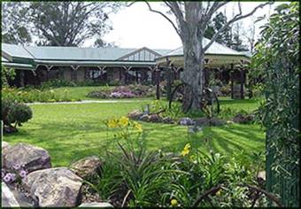 The Bearded Dragon Boutique Hotel