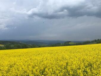 Hartensteiner Stra�e 14