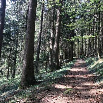 Apartamento Gro�e Und Helle Ferienwohnung F�r Bis Zu 6 Personen