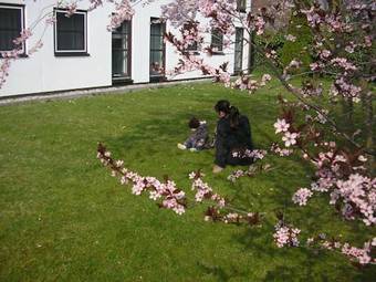 Lindenhotel Stralsund