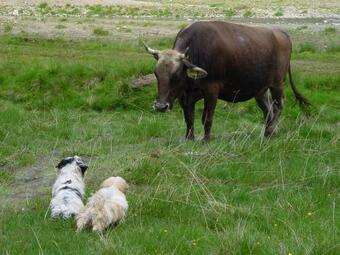 Apartamento Residence Pizzeria Priska