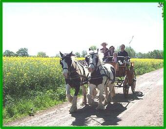 Apartamento Ferienhof Winther 2