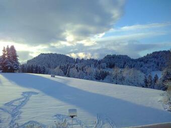 Apartamento Ferienwohnung Wild