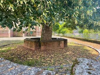 Apartamento Alte Schule Malberg 3