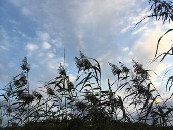 Apartamento Werkgut - Charmantes Gro�z�giges Loft Im Naturpark