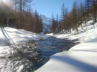 Chalet Charmant