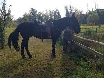 Albergue Ostello Molino Di Basso