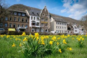 Ferienhaus Moselkern