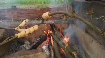 Apartamento Ruheoase Mit Baumkronenblick