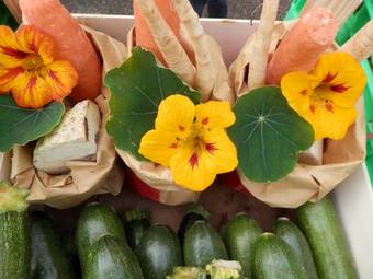 Girbl Bio Apartments Ungeimpft - 3m�derl Haus