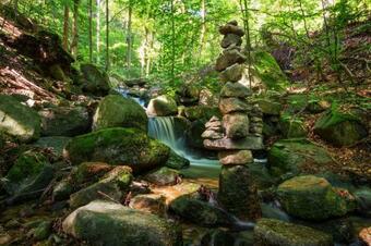 Apartamento Ferienwohnung Stecklenburg