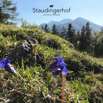 Apartamento Staudingerhof