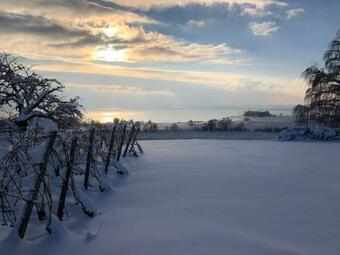 Apartamento Casa Viola Bodenseeblick