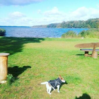 Haus "monty" Tinyhaus Mobilheim