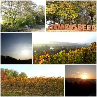 Apartamento Ferienwohnung Hornig