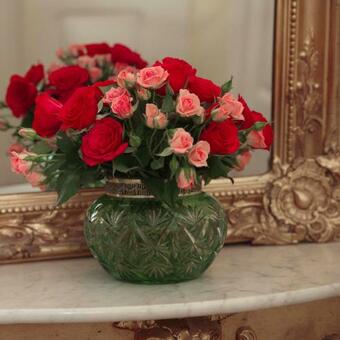 Apartamento Villa Moeller