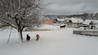 Apartamento Ferienhof "zum Waldblick"