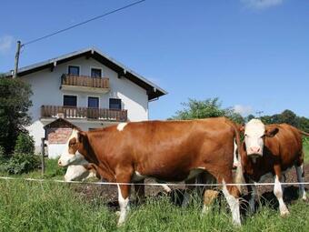 Apartamento Haslacher Hof