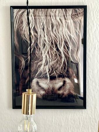 La Petite Maison Fachwerkhaus Am Rande Des Sauerlandes In Warburg