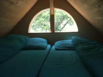 Sonniges-naturnahes-schwarzwald-ferienhaeuschen