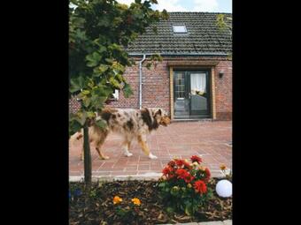 Neu Ferienhaus Am Moor