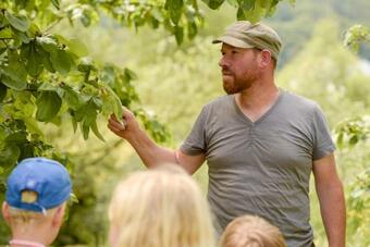 Nengshof Ferienh�user Sonnenblume Und Heublume