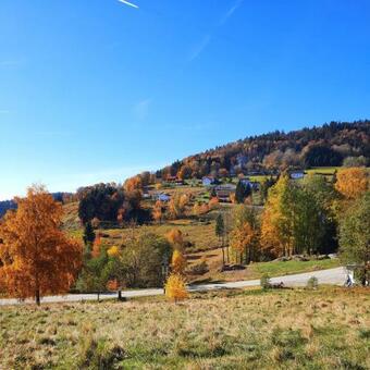 Apartamento Exklusive Ferienwohnung - Naturgenuss Pur In Der Ferienregion Sonnenwald Bayerischer Wald