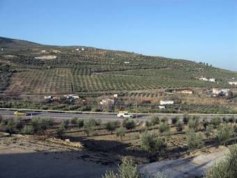 Apartamentos Fuente De La Salud