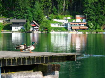 Apartamento Villa Mayr