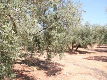 Lodge Holiday Home Del Pastor Los Nogales