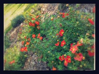 Yourte 4 Personnes Proche Provins Et Disney