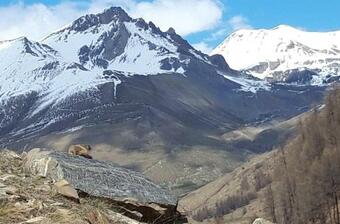 Apartamento Ubaye Liberty