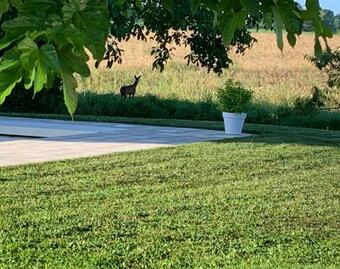 Hostal Le Logis De La Chouette