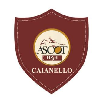 Bed & Breakfast Ascot Holiday Home