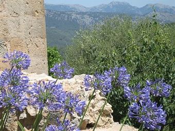 Hotel La Posada Del Marqu�s