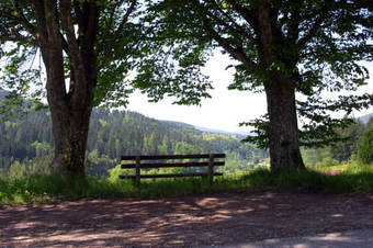 Hotel Gasthof L�wen