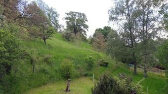 Apartamento Cot� Tilleul