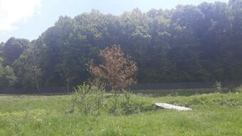 Apartamento ??????? ??? ??????????