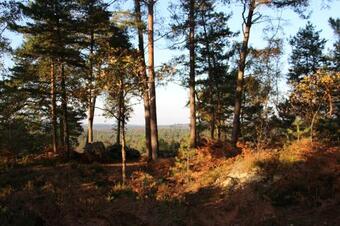 Bed & Breakfast L'alisier Chantant