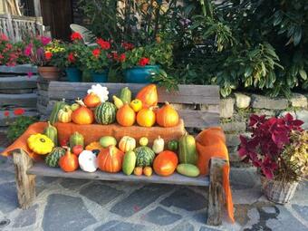 Bed & Breakfast La Belle Josephine