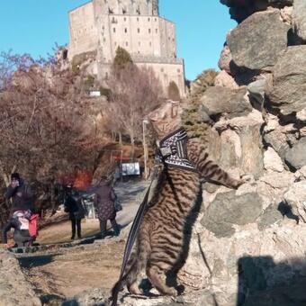 Villa Casa Del Rustico, Indipendente Vista Sacra Con Dipinto