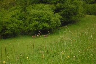 La Maison De Mamie Montagne