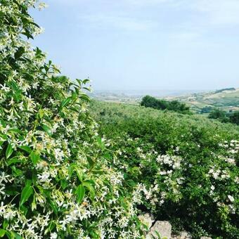 Apartamento Villasfor2