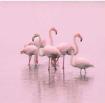 Apartamento Casawhite