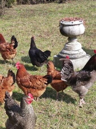 Hostal Agroturystyka Klimat