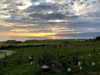 Bed & Breakfast Toi Toi Papatotara