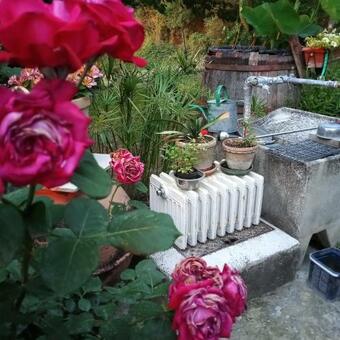 Hostal Tra Grilli E Cicale