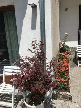 Milla Appartamento 4-6 Letti - 1km Ponte Di Legno T04416