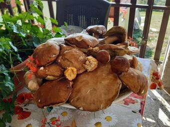 Apartamento Paradiso Incontaminato